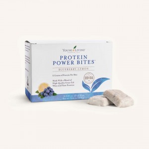 Protein Power Bites